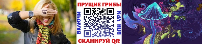 Купить где  Искитим  Галлюциногенные грибы GOLDEN TEACHER 